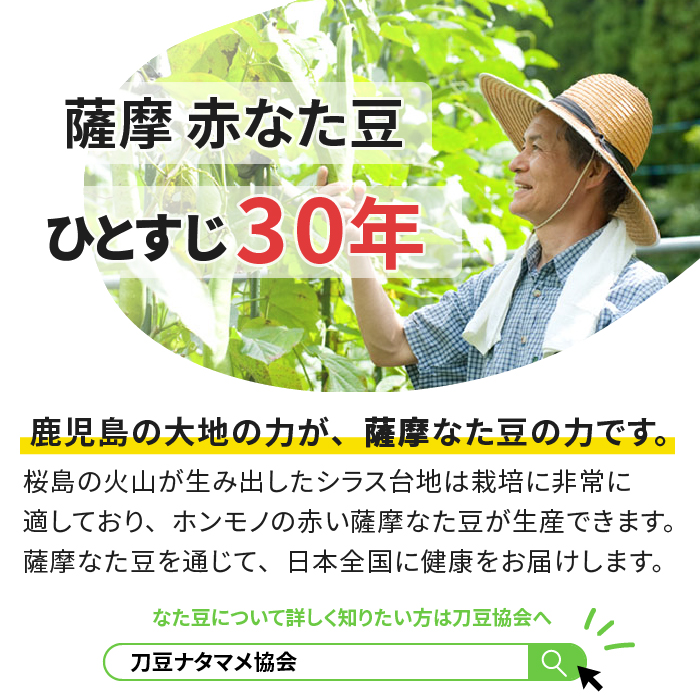 薩摩赤なた豆を生産して30年。栽培に適した土壌で生産しています