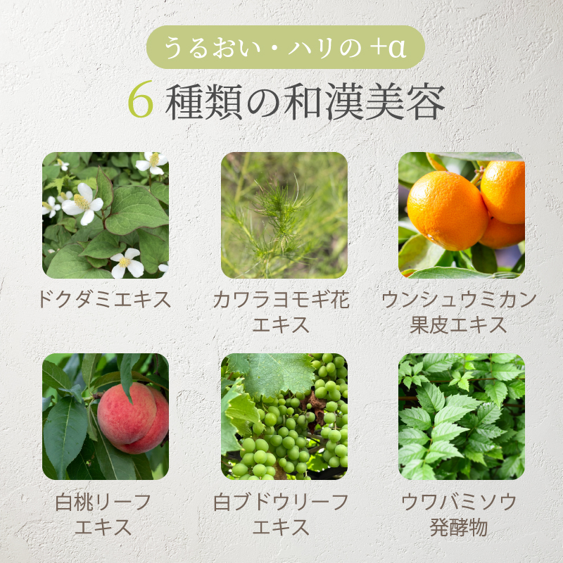 6種類の和漢美容