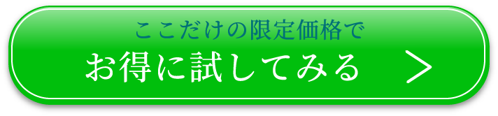 お得に試してみる