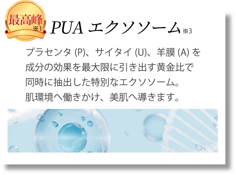 最高峰の成分、PUAエクソソーム