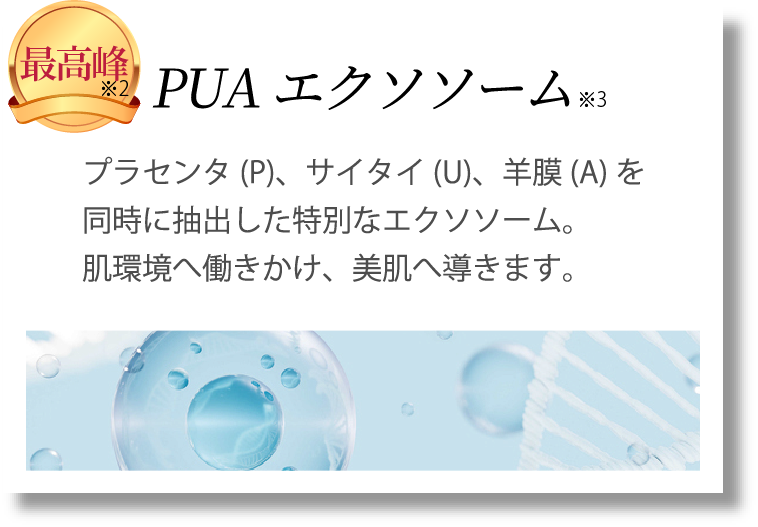 最高峰の成分、PUAエクソソーム