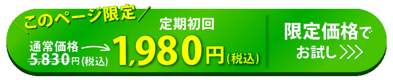 今だけ！1,980円(税込)初回限定価格でお試し