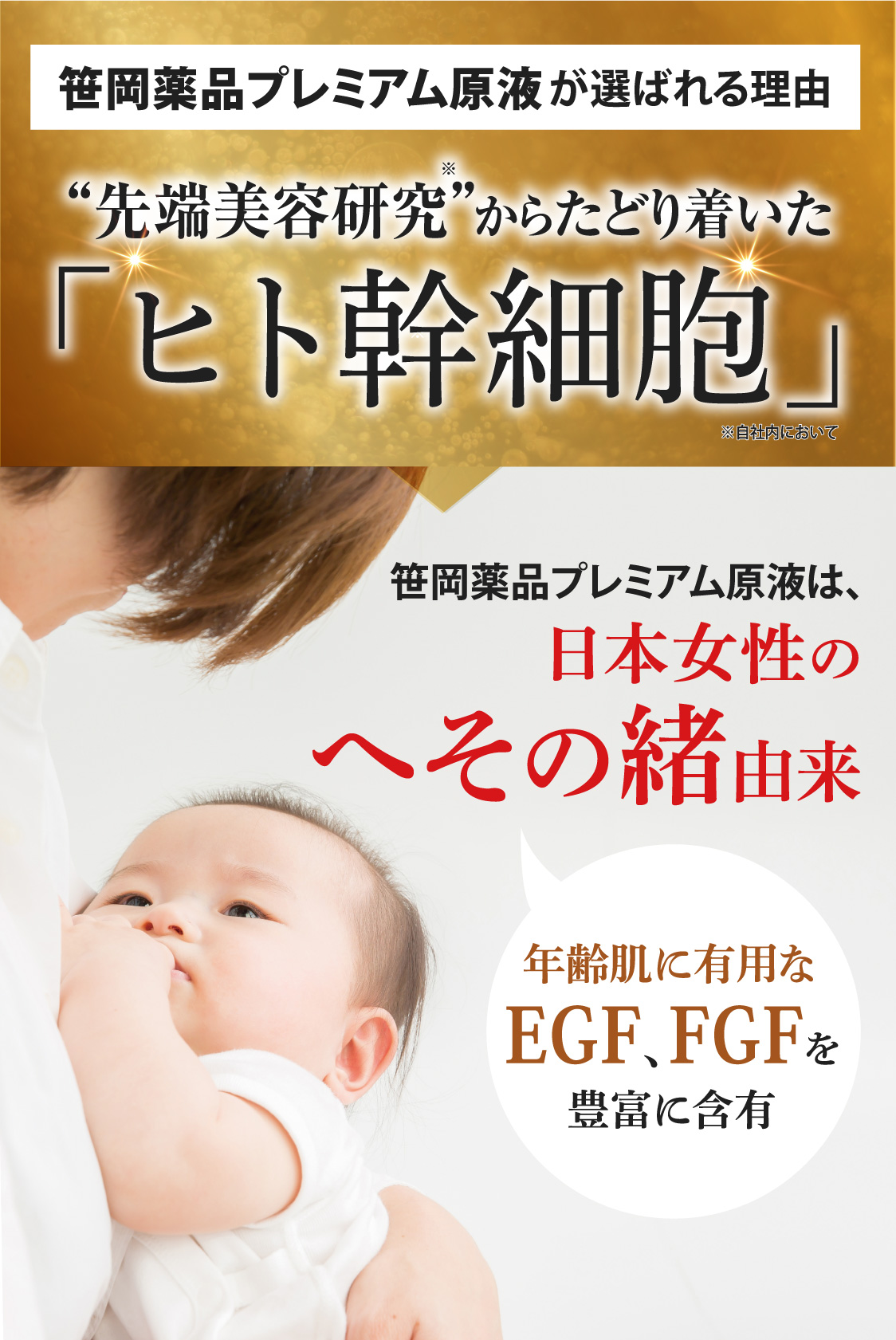 へその緒由来のヒト幹細胞エキス配合の笹岡プレミアム原液にはEGF、FGFが多く含有