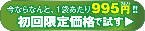 いますぐお得にゲット！購入ボタン